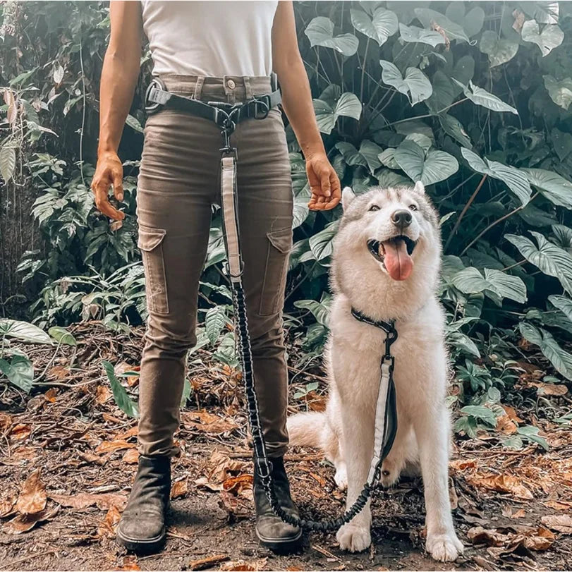 Hands-Free Hundkoppel med Midjerem & Ländryggsstöd – Reflexbungee, Justerbart, Svart