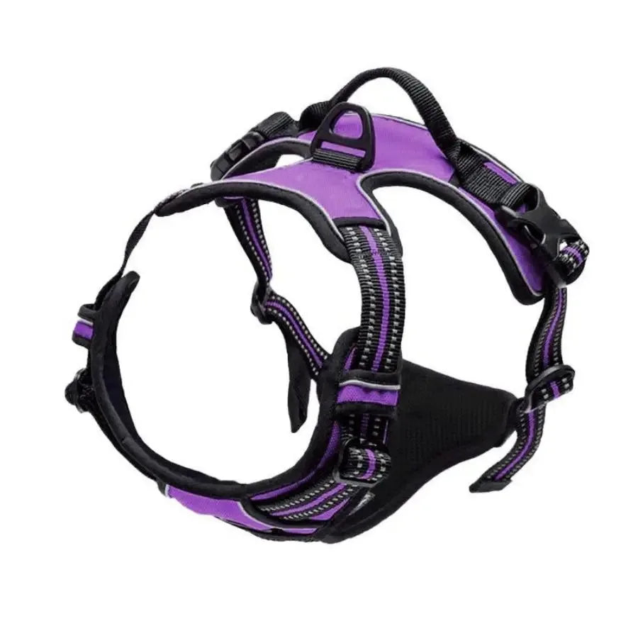 Hundsele & Halsband Set – Läder, S–XL, Svart/Grön/Röd/Blå/Rosa/Lila/Rosröd/Gul