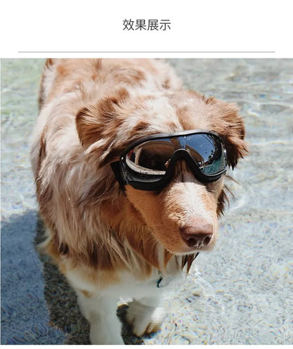 Transparent Color Pet Dog Goggles Waterproof Windproof Sunscreen UV Resistant Large Dog Glasses