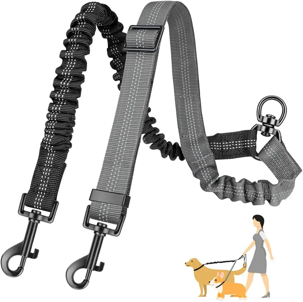 Dubbelt Hundkoppel med Bungee – Justerbar Antidrag-delare för 2 Hundar, Small–Large