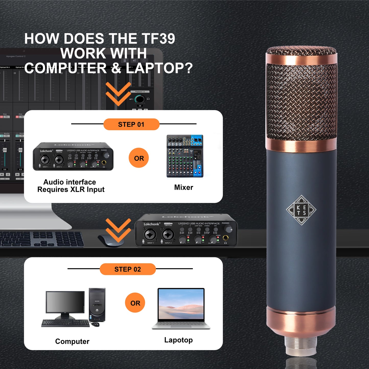 TF39 Condenser Microphone 26mm / 34mm Large Diaphragm XLR Studio Recording Mic for Vocals Podcasting Streaming Home Studio