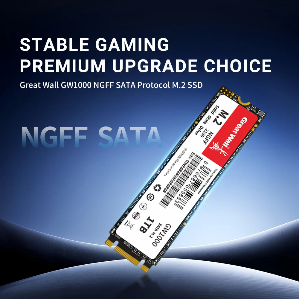 Great Wall M2 NGFF SSD 128GB 256GB SSD M.2 SATA 2280 1TB 512GB HDD 2TB Hard Disk Solid State Drives for Desktop Laptop