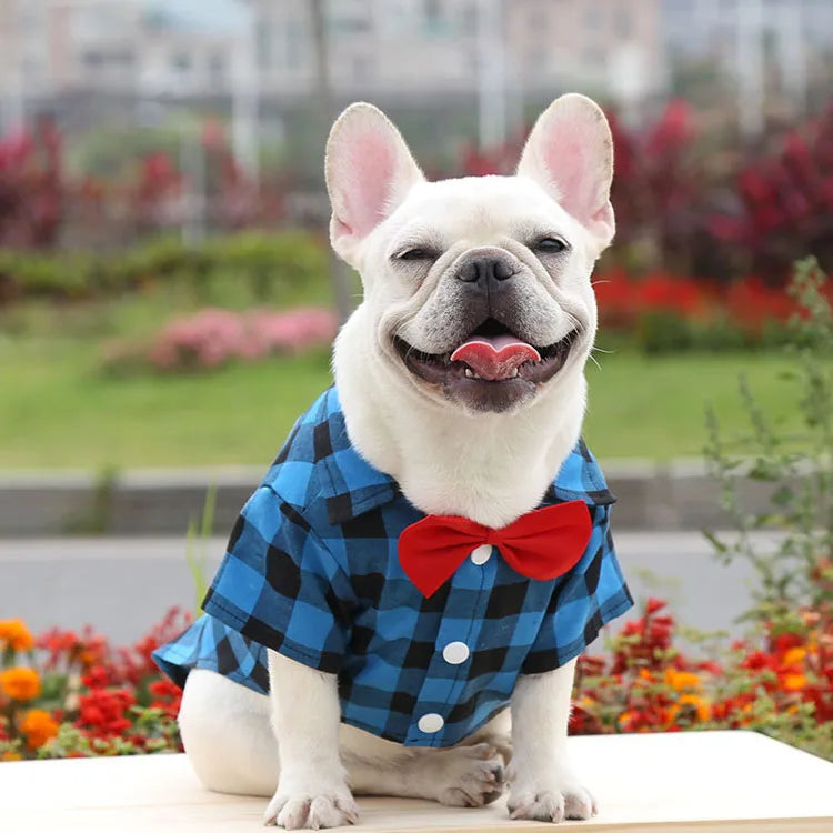 Pet Dog Clothes Plaid Shirt Suit Tie Gown Spring Summer Puppy Coat Teddy Bear Pomeranian Vest Small-Medium Dog Cat Pet Costume