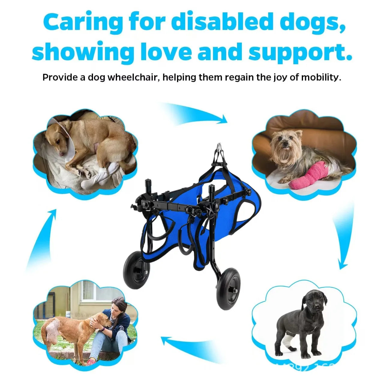 Disabled Dog Wheelchair Cart Adjustable Pet Mobility Aids with Wheels Pet Cat Dog Rehabilitation Walking Mobility Aid Troll
