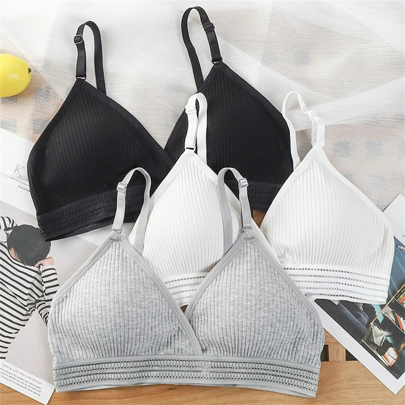 Back Lingerie Wholesale Ladies Autumn Soft Thin Cup Breathable Student Small Chest No Underwire Breast Pad Bra
