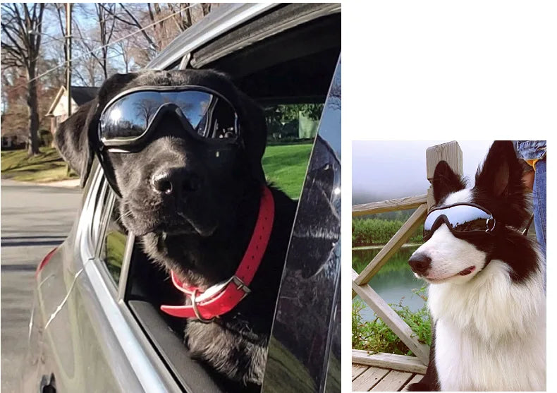 Transparent Color Pet Dog Goggles Waterproof Windproof Sunscreen UV Resistant Large Dog Glasses