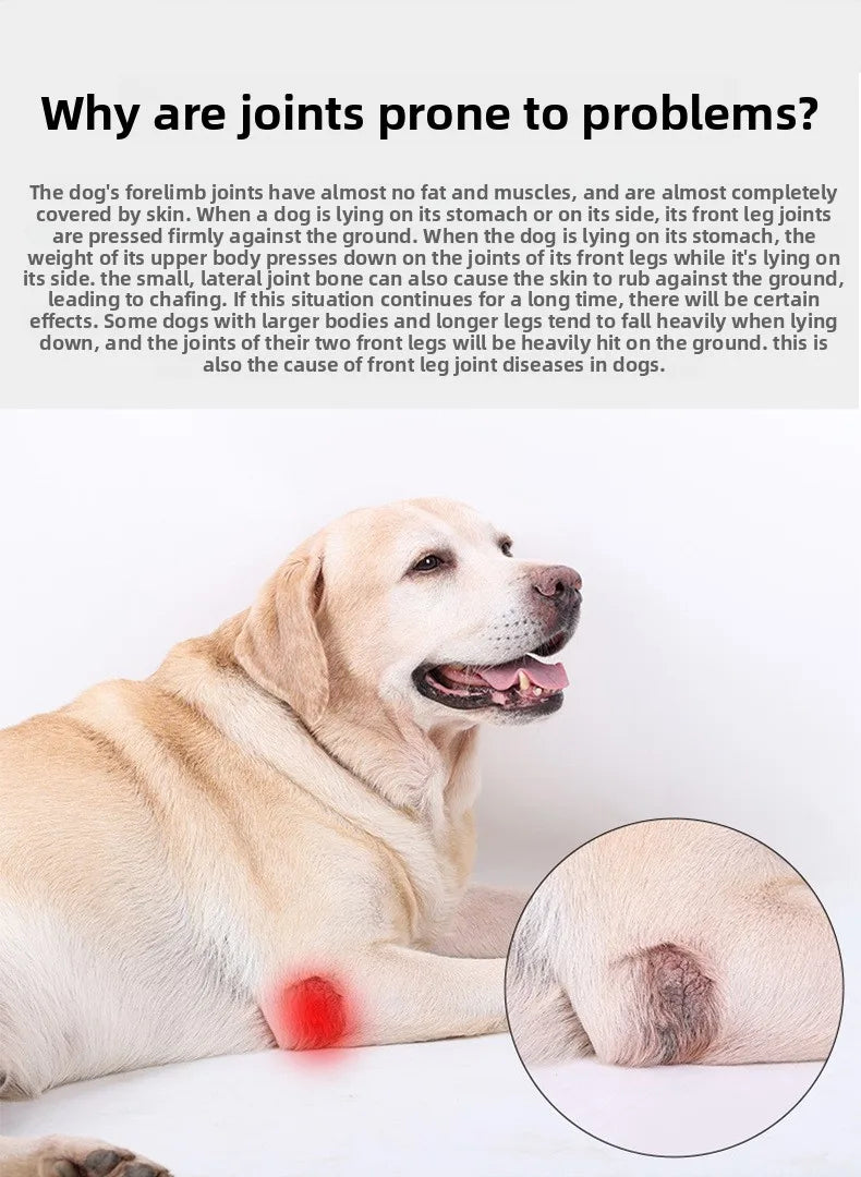 Dog Leg  Knee Patella Protection Joint Auxiliary Rehabilitation Ligament Joint Dislocation Pet Dirtproof Waterproof Rain Shoes