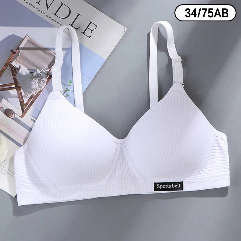 Scdcc9e6ccc4240798ab2c34ab8a3daddY