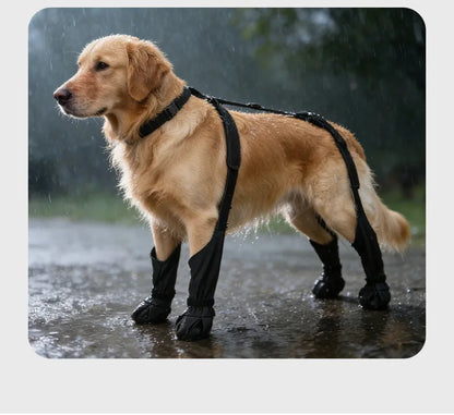 Dog Leg  Knee Patella Protection Joint Auxiliary Rehabilitation Ligament Joint Dislocation Pet Dirtproof Waterproof Rain Shoes