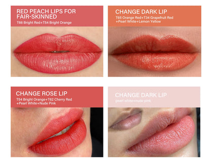 FAMISOO 5ML Permanent Makeup Pigment Tattoo Lips Tattoo Inks Eyebrows Eyeliners Pigments Microblading Pigment Tattoo Pigments