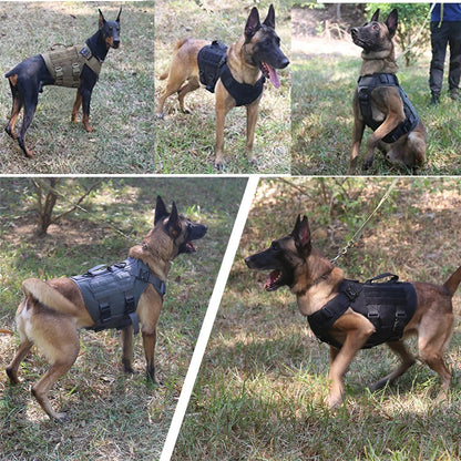 Taktisk Militärhundsele & Koppelset – För Schäfer, Golden Retriever & Stora Raser, S–XL