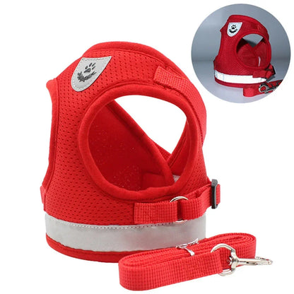 Sele- & Koppelset för Katt & Liten Hund – Justerbart, Reflekterande & Rymningssäkert