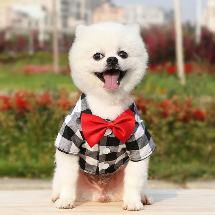 Pet Dog Clothes Plaid Shirt Suit Tie Gown Spring Summer Puppy Coat Teddy Bear Pomeranian Vest Small-Medium Dog Cat Pet Costume