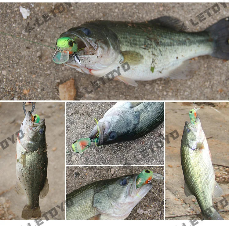 Micro Tappy Fishing Lures Artificial Hard Baits Crank Wobblers Tongue Plate Spinning Spoon with Feather Rotates Trout fish Bait