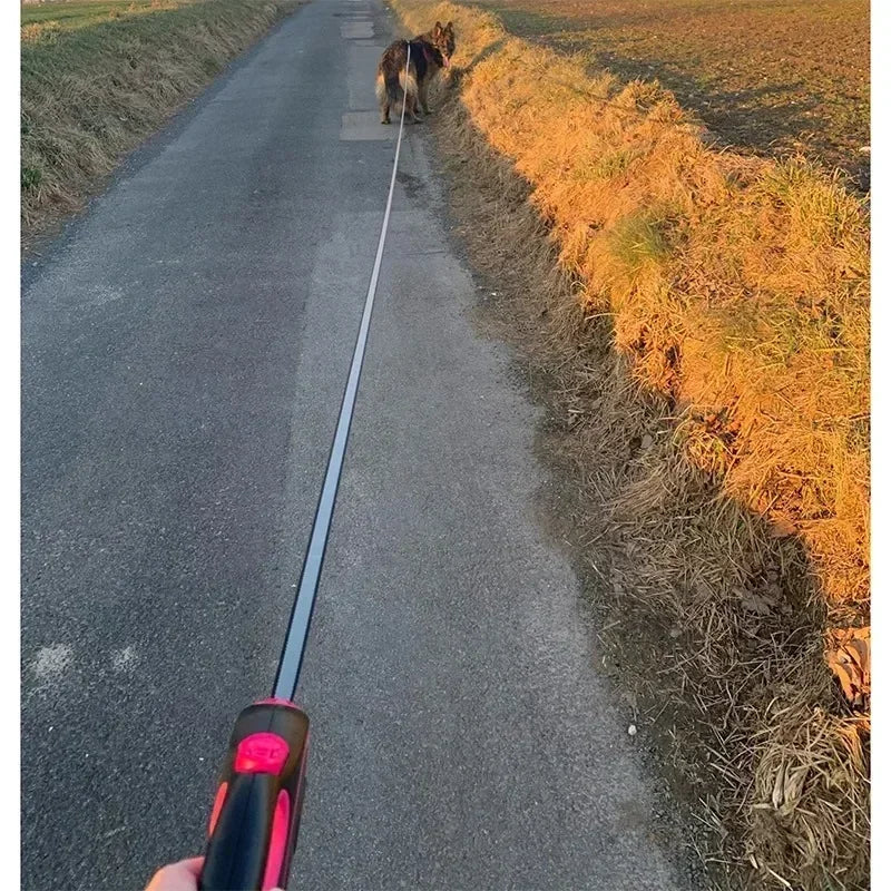 Utdragbart Hundkoppel 3–8 m – För Hundar upp till 50 kg, Grå/Blå/Grön