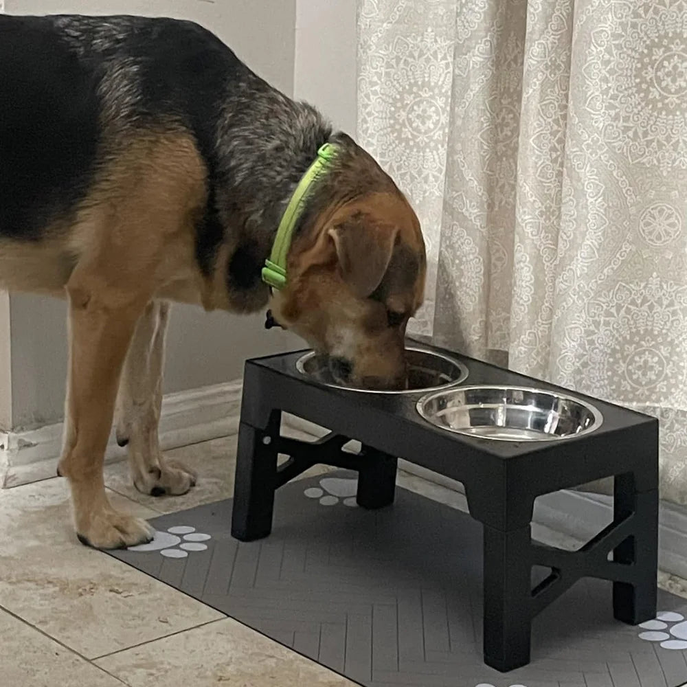 Höj- och sänkbar matskål för hund med dubbla skålar i rostfritt stål