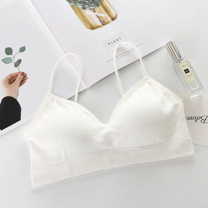 Women Non Wired Bras Seamless Bras Sports Bra Gym Running Push Up Bralette Padded Vest Elastic Brassiere Women Gym Bra Top