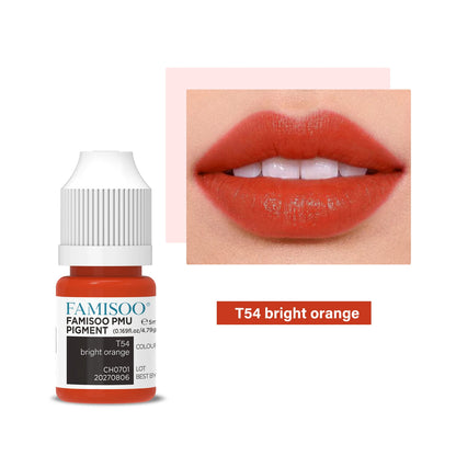 FAMISOO 5ML Permanent Makeup Pigment Tattoo Lips Tattoo Inks Eyebrows Eyeliners Pigments Microblading Pigment Tattoo Pigments