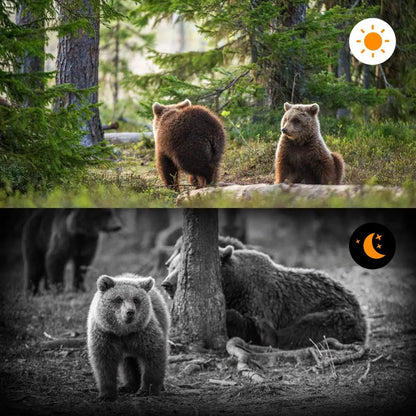 24MP 1080P Video  Wildlife Trail Camera Photo Trap Infrared Hunting Cameras HC802A Wildlife Wireless Surveillance Tracking Cams