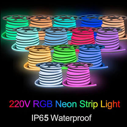 220 V RGB LED-neonlist IP65 med fjärrkontroll, Bluetooth eller Tuya WiFi, 1–100 m
