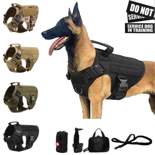 Taktisk Militärhundsele & Koppelset – För Schäfer, Golden Retriever & Stora Raser, S–XL