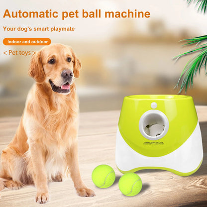 Automatisk Bollkastare för Små Hundar – 3 Avstånd, USB, Inkl. 3 Tennisbollar