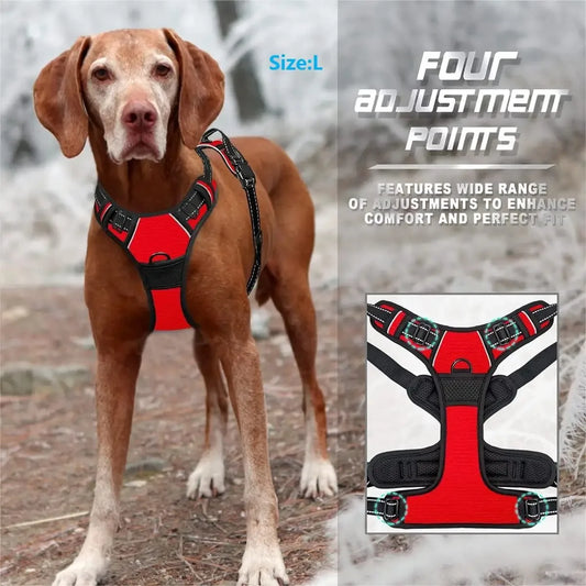 Hundsele & Halsband Set – Läder, S–XL, Svart/Grön/Röd/Blå/Rosa/Lila/Rosröd/Gul