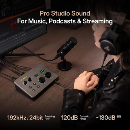 MAONO P2 USB-ljudinterface med dubbla XLR-ingångar