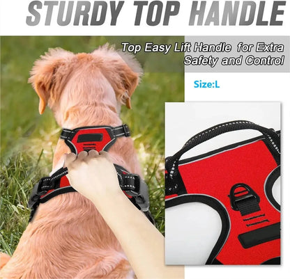 Hundsele & Halsband Set – Läder, S–XL, Svart/Grön/Röd/Blå/Rosa/Lila/Rosröd/Gul