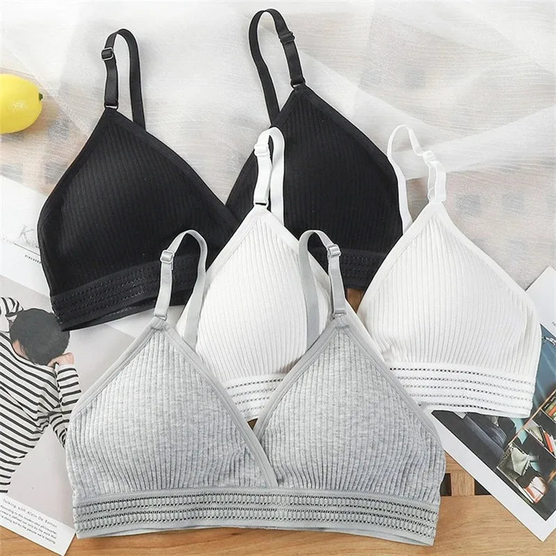 Back Lingerie Wholesale Ladies Autumn Soft Thin Cup Breathable Student Small Chest No Underwire Breast Pad Bra