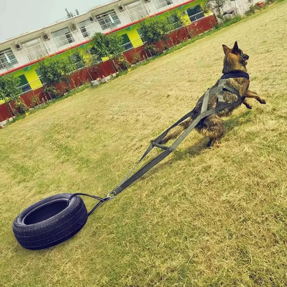 Large Working Dog Pull Training Leash Sled Safety Belt for Behavior Training Durable Dog Leash for Dog Sled Enthusiasts