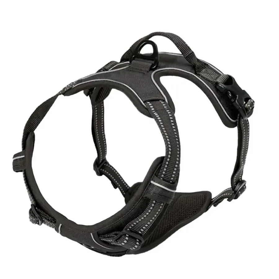 Hundsele & Halsband Set – Läder, S–XL, Svart/Grön/Röd/Blå/Rosa/Lila/Rosröd/Gul