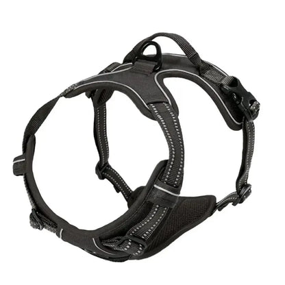 Hundsele & Halsband Set – Läder, S–XL, Svart/Grön/Röd/Blå/Rosa/Lila/Rosröd/Gul